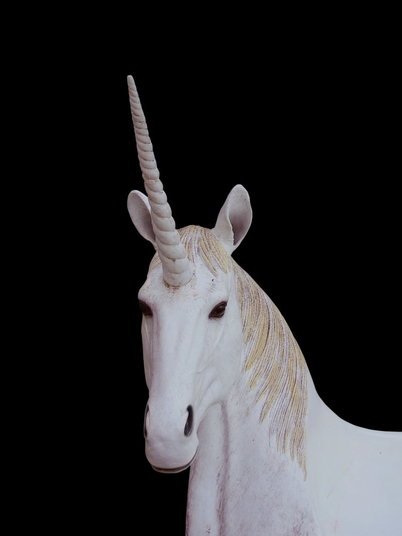 Unicorn Habitat